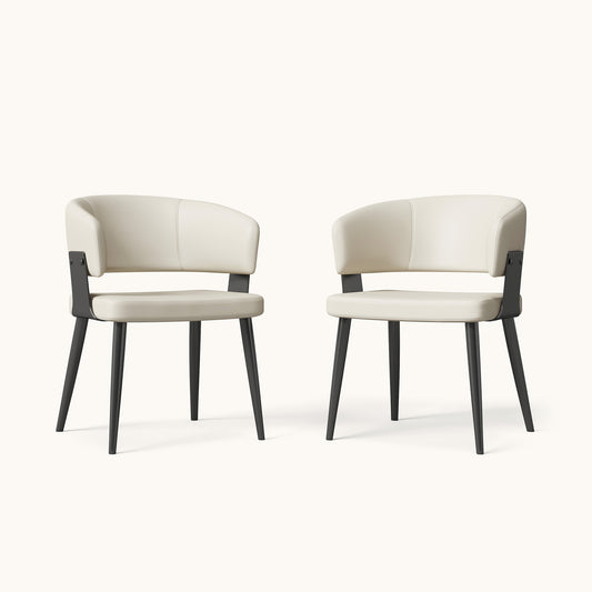 Modern Upholstered Dining Chairs Set of 2 D57-FK-M001