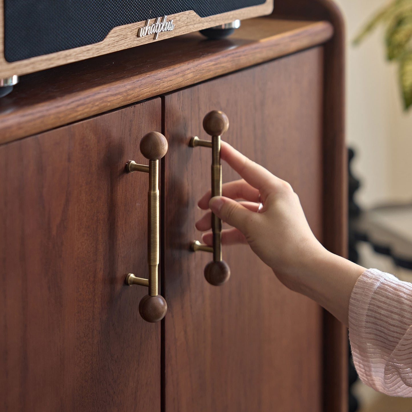 Alden Vintage Entryway Cabinet with Doors, Hooks and Drawer Storage