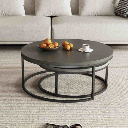 Coffee Table T42 - FK - M001 Modern Rotundity 55.2" (Set of 2) - FamiDear