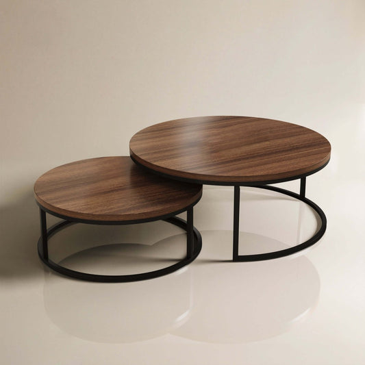 Coffee Table T42 - FK - M001 Modern Rotundity 55.2" (Set of 2) - FamiDear