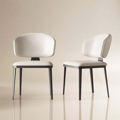 Dining Chair D55 - FK - M001 Modern Upholstered Seat (Set of 2) - FamiDear