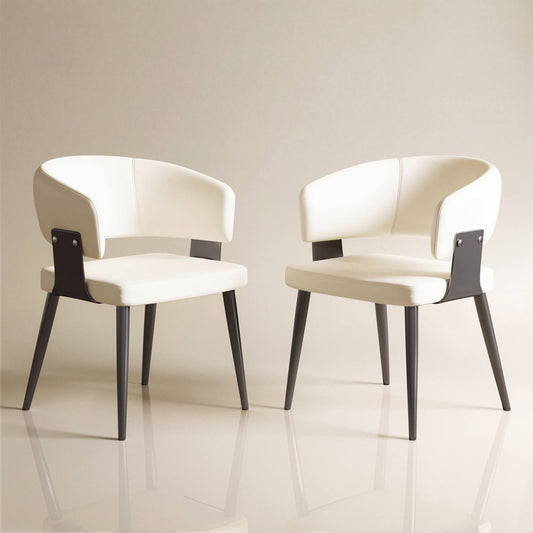 Dining Chair D57 - FK - M001 Modern Upholstered Dining Chair Seat (Set of 2) - FamiDear