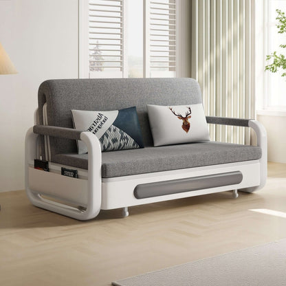 Sofa C25 - FK - N001 Modern Fold - Out Sofa Bed Durable Fabrics 57.4" - FamiDear