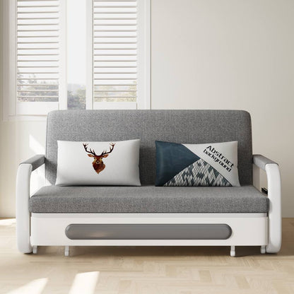 Sofa C25 - FK - N001 Modern Fold - Out Sofa Bed Durable Fabrics 57.4" - FamiDear